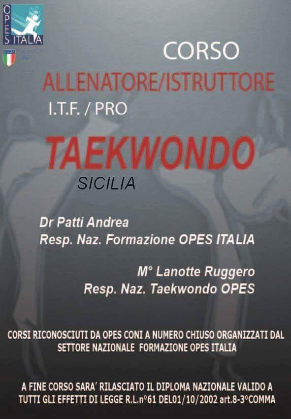 Scopri di più sull'articolo Corso Allenatore/Istruttore I.T.F./ PRO Taekwondo