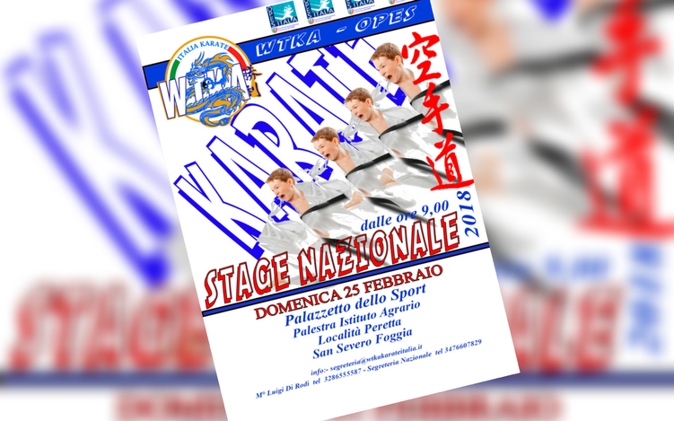 Scopri di più sull'articolo Stage Nazionale di Karate in Puglia