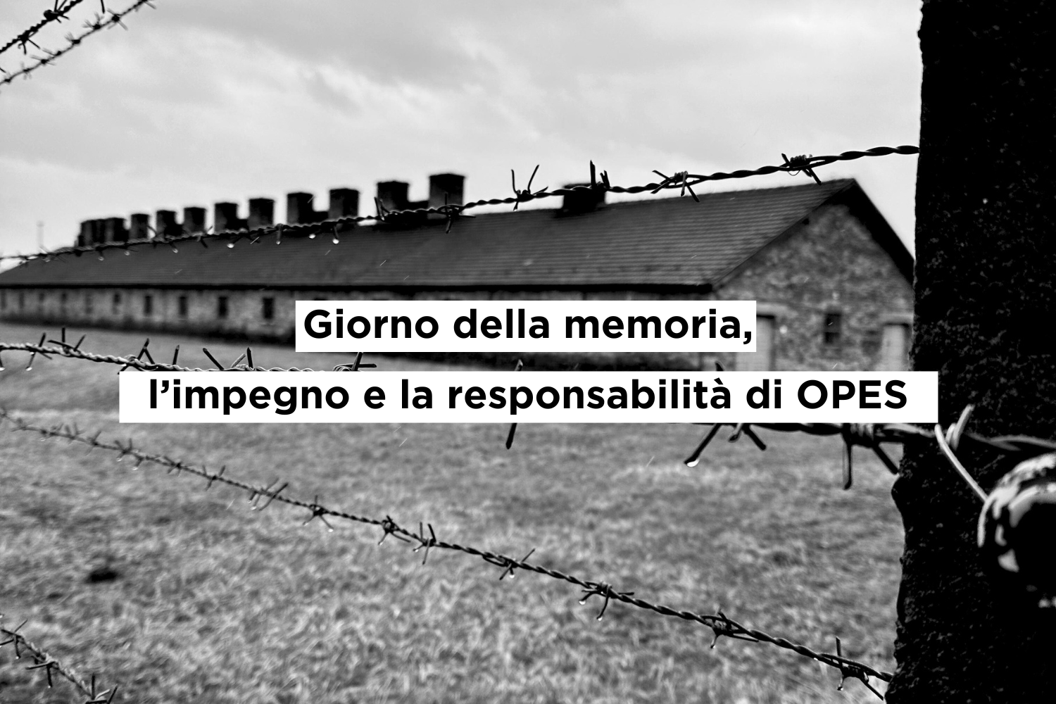 Scopri di più sull'articolo Giorno della memoria, l’impegno e la responsabilità di OPES