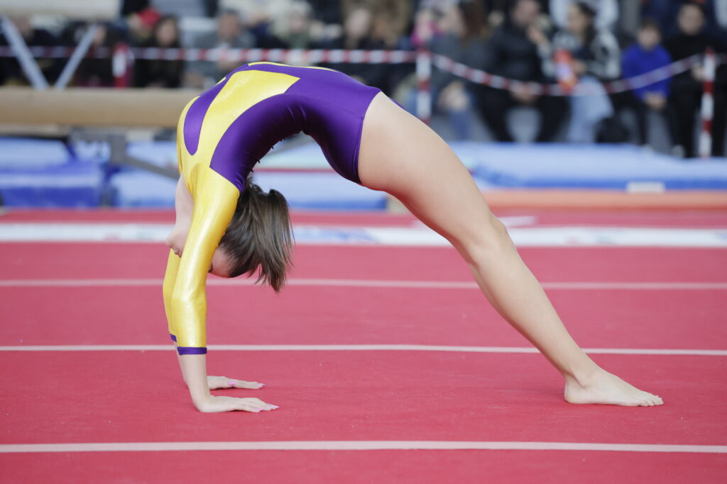 ginnastica artistica, immagini relative all'evento di Aprilia